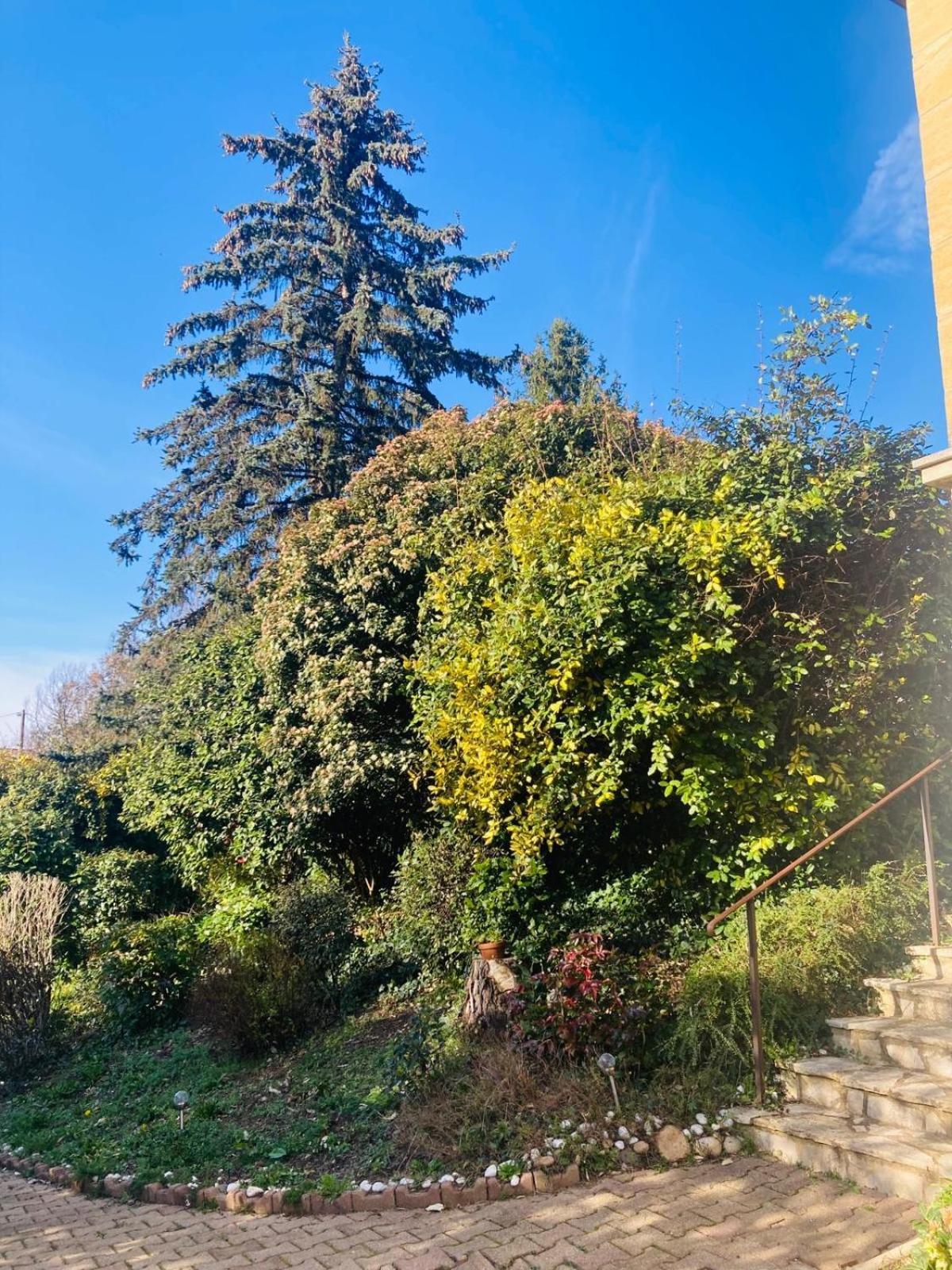 La Petite Noix Apartment Sarlat-la-Caneda Luaran gambar