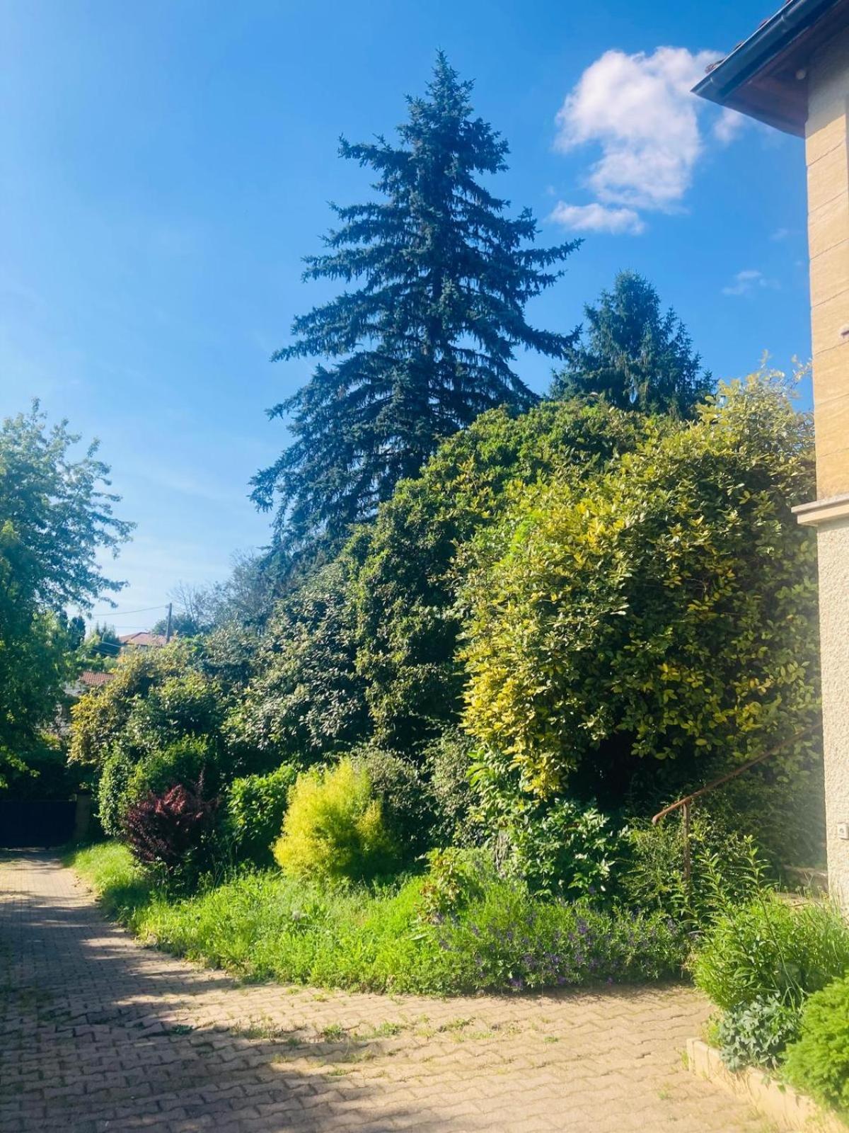La Petite Noix Apartment Sarlat-la-Caneda Luaran gambar